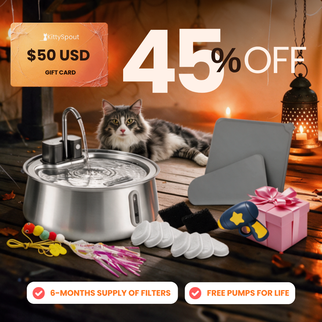 KittySpout Value Bundle