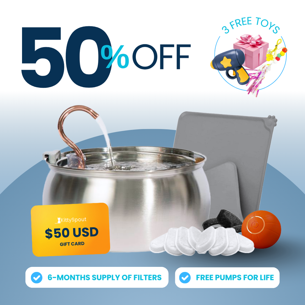 Hydration & Playtime Value Bundle