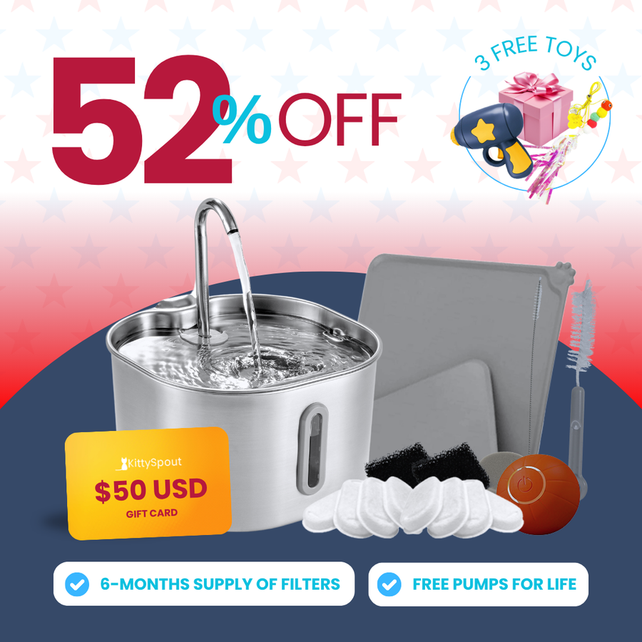 The KittySpout™ - 2.2L Hydration & Playtime Value Bundle
