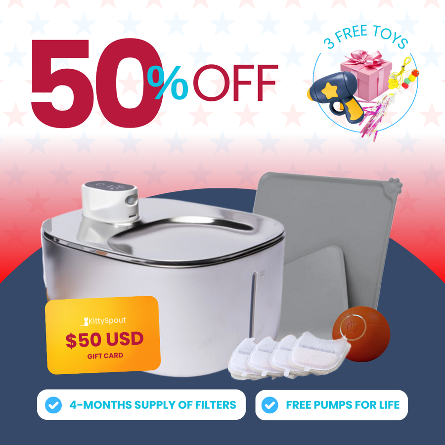 Wireless Hydration & Playtime Value Bundle