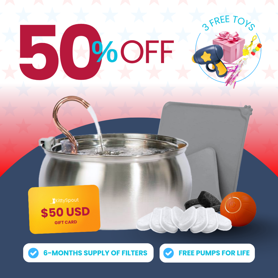 Hydration & Playtime Value Bundle