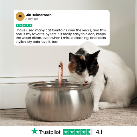 Der KittySpout™