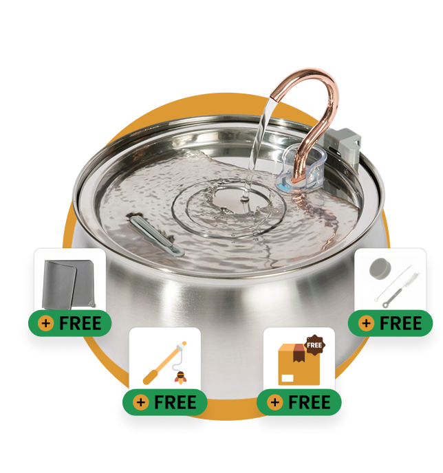 Ready to Improve Your Cat’s Hydration? Try KittySpout™ Risk-Free Today