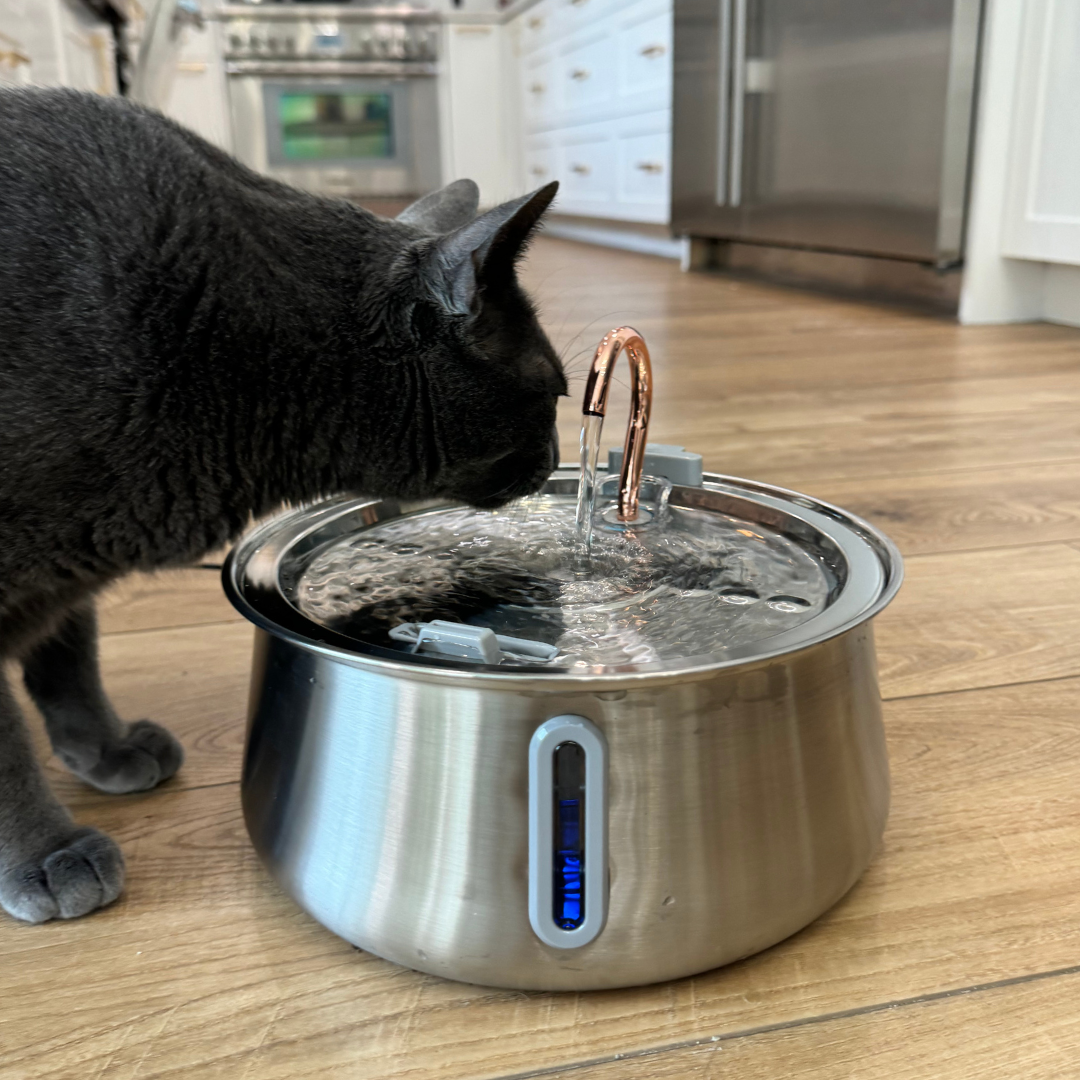 Pre-Owned The KittySpout 2.0 - Health & Happiness Cat Kit - 4 Month: KittySpout + 8 filter sets + AC adapter + FREE gift