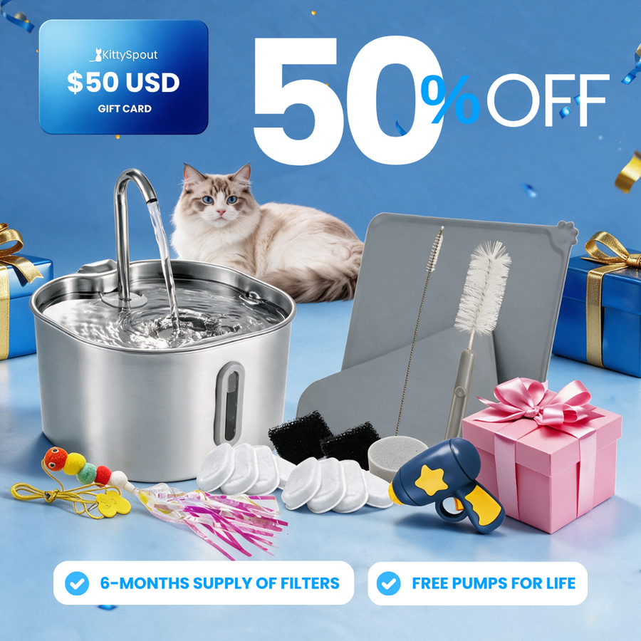 Das KittySpout™ – 2,2L Vorteils-Bundle