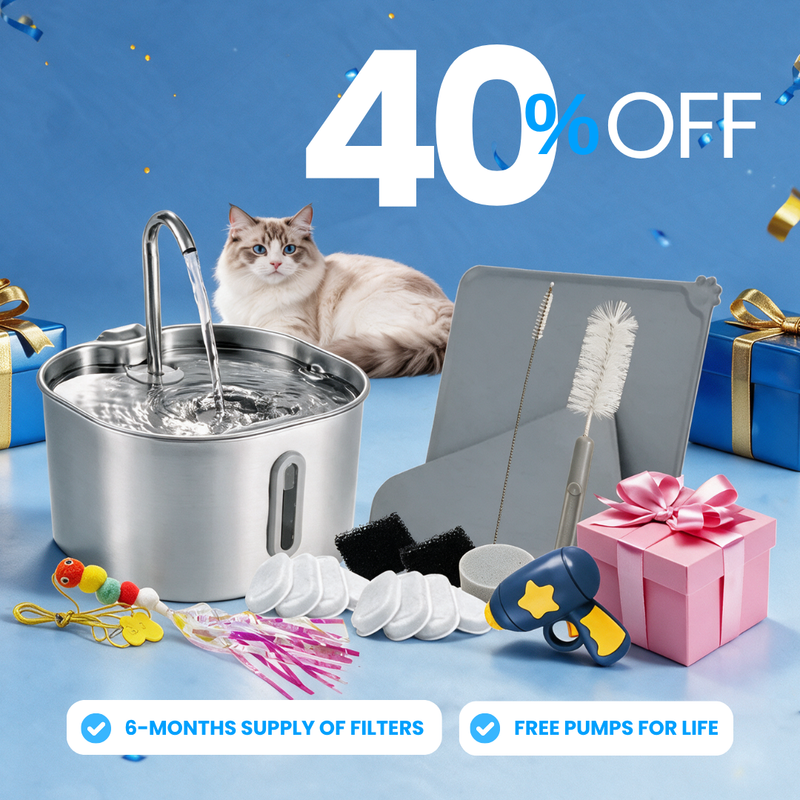 Das KittySpout™ - 2,2L Purrrfekte KittySpout Kit