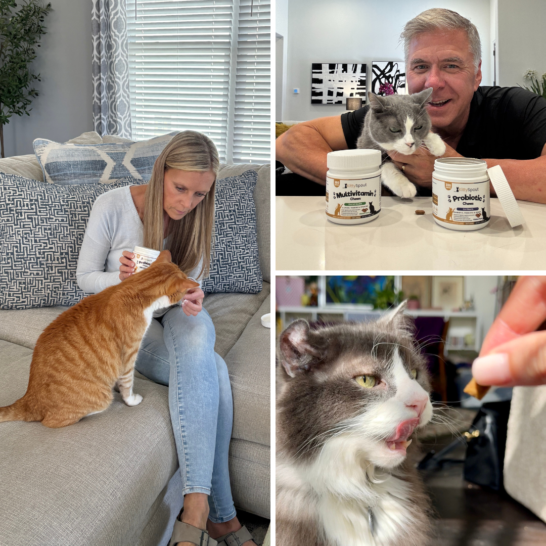 KittyTreats⁺ — Healthy Cat Treats