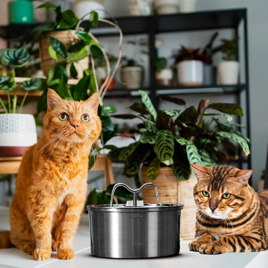 8 filtri KittySpout™ - 8 mesi di fornitura