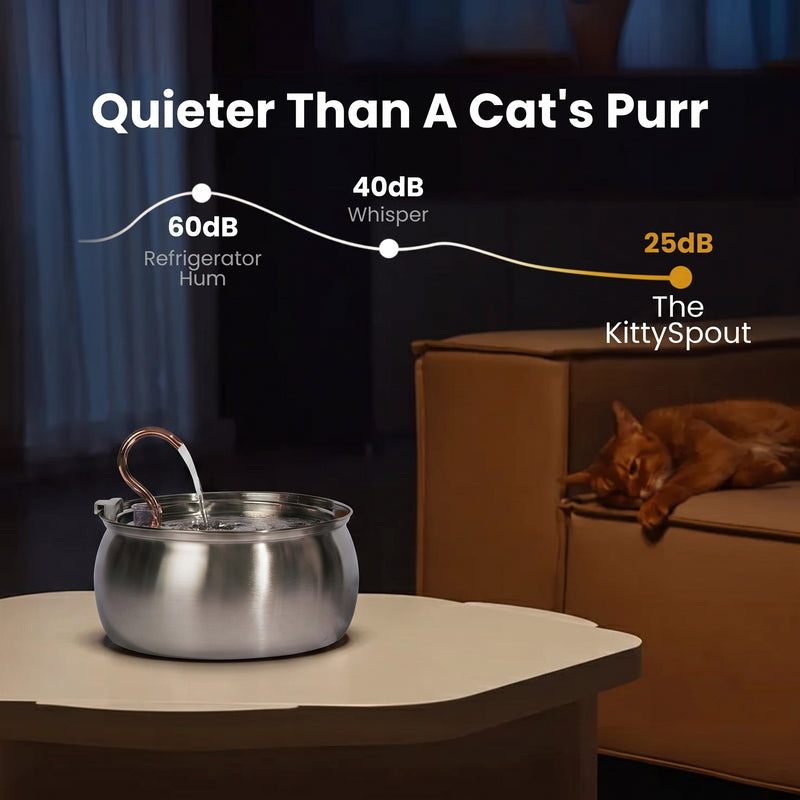 Il KittySpout™