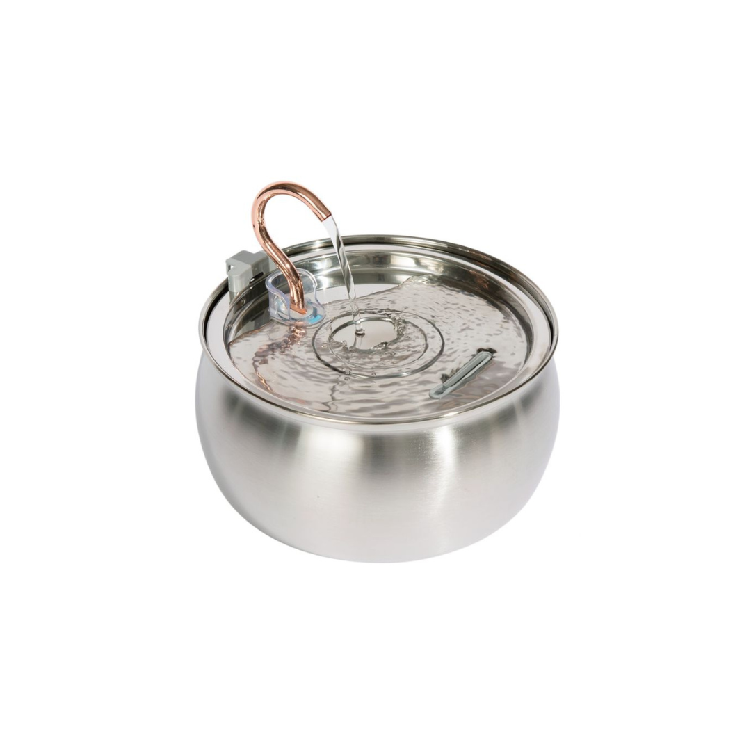 The Purrr-fect KittySpout Kit