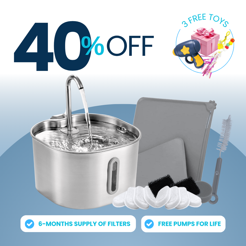 The KittySpout™ - 2.2L Purrrfect KittySpout Kit