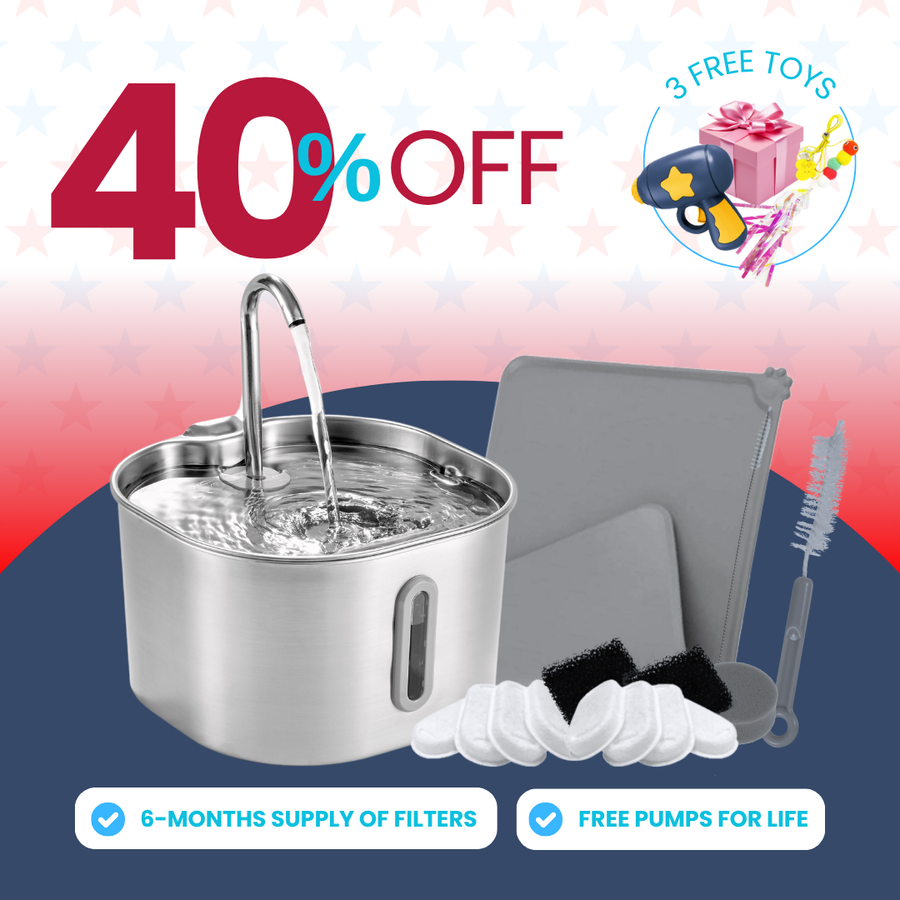 The KittySpout™ - 2.2L Purrrfect KittySpout Kit