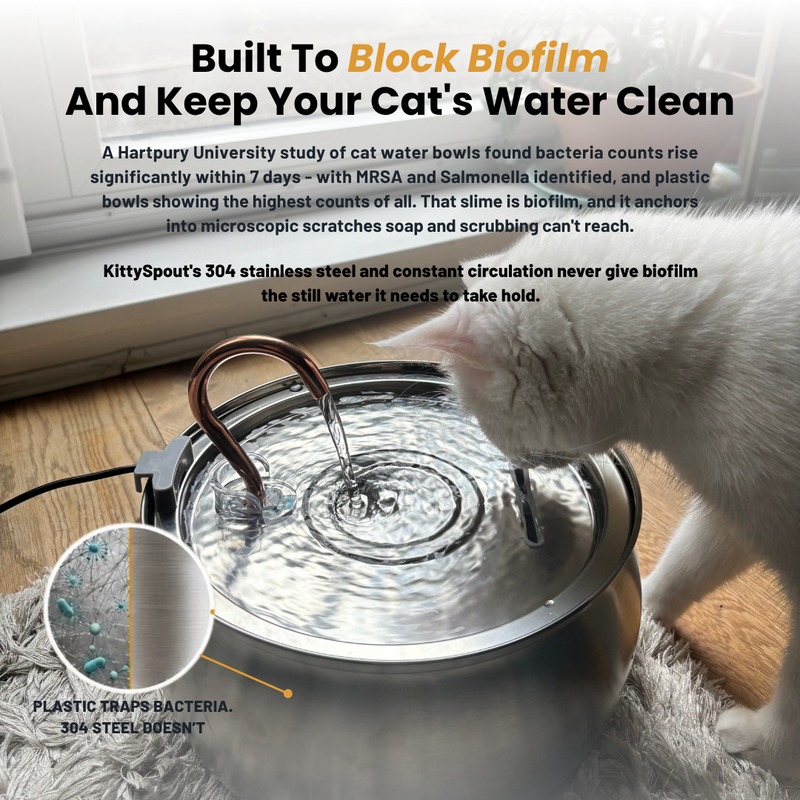 Il KittySpout™