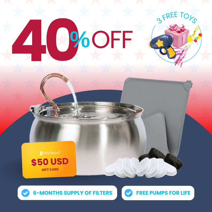 KittySpout Value Bundle