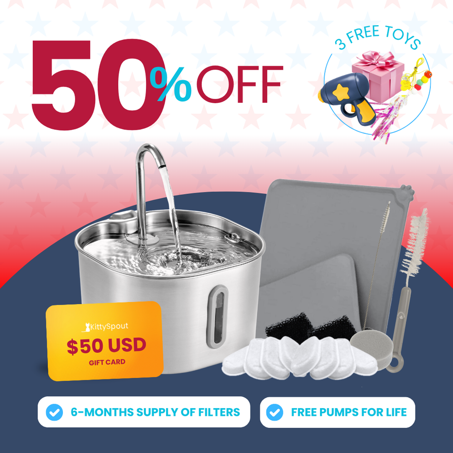 The KittySpout™ - 2.2L Value Bundle