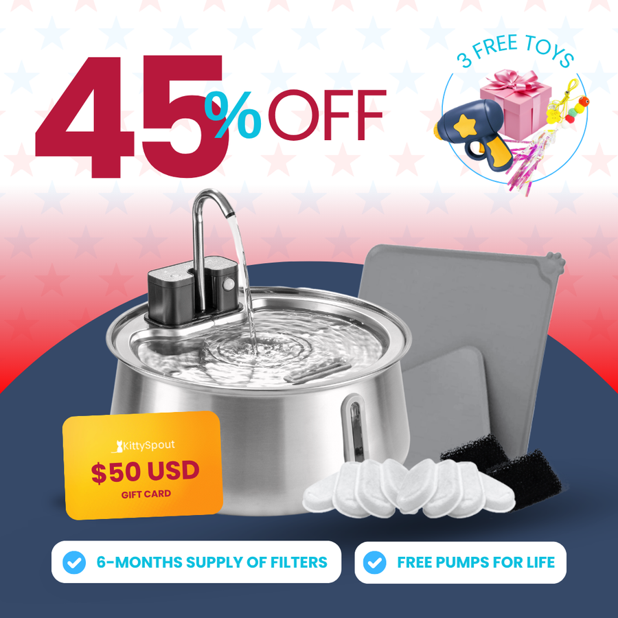 Wireless 2.0 KittySpout Value Bundle