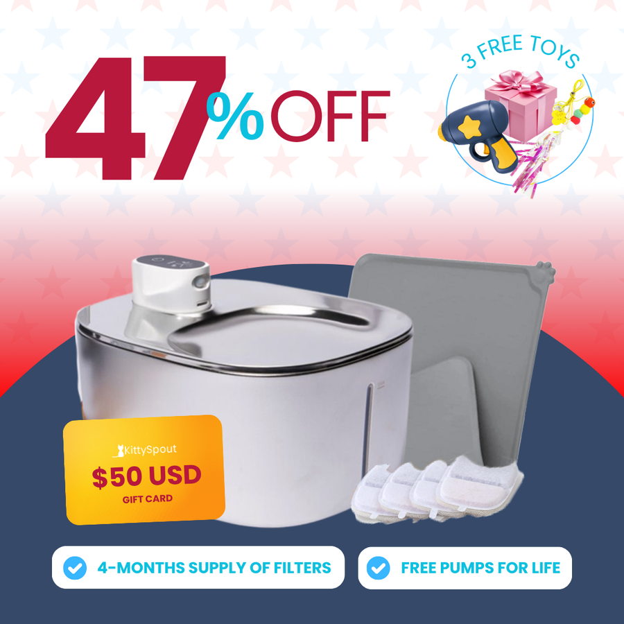 Wireless KittySpout Value Bundle
