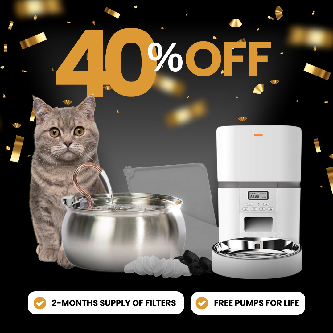 Elite Cat Care Bundle