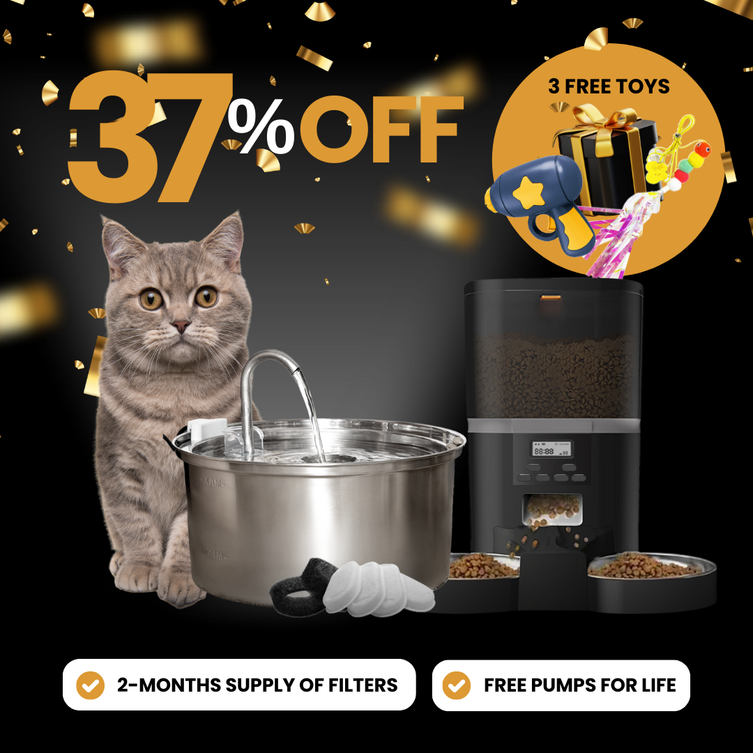 Elite Cat Care Bundle