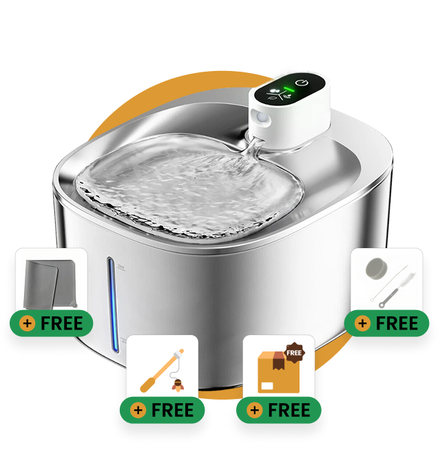 Ready to Improve Your Cat’s Hydration? Try KittySpout™ Risk-Free Today