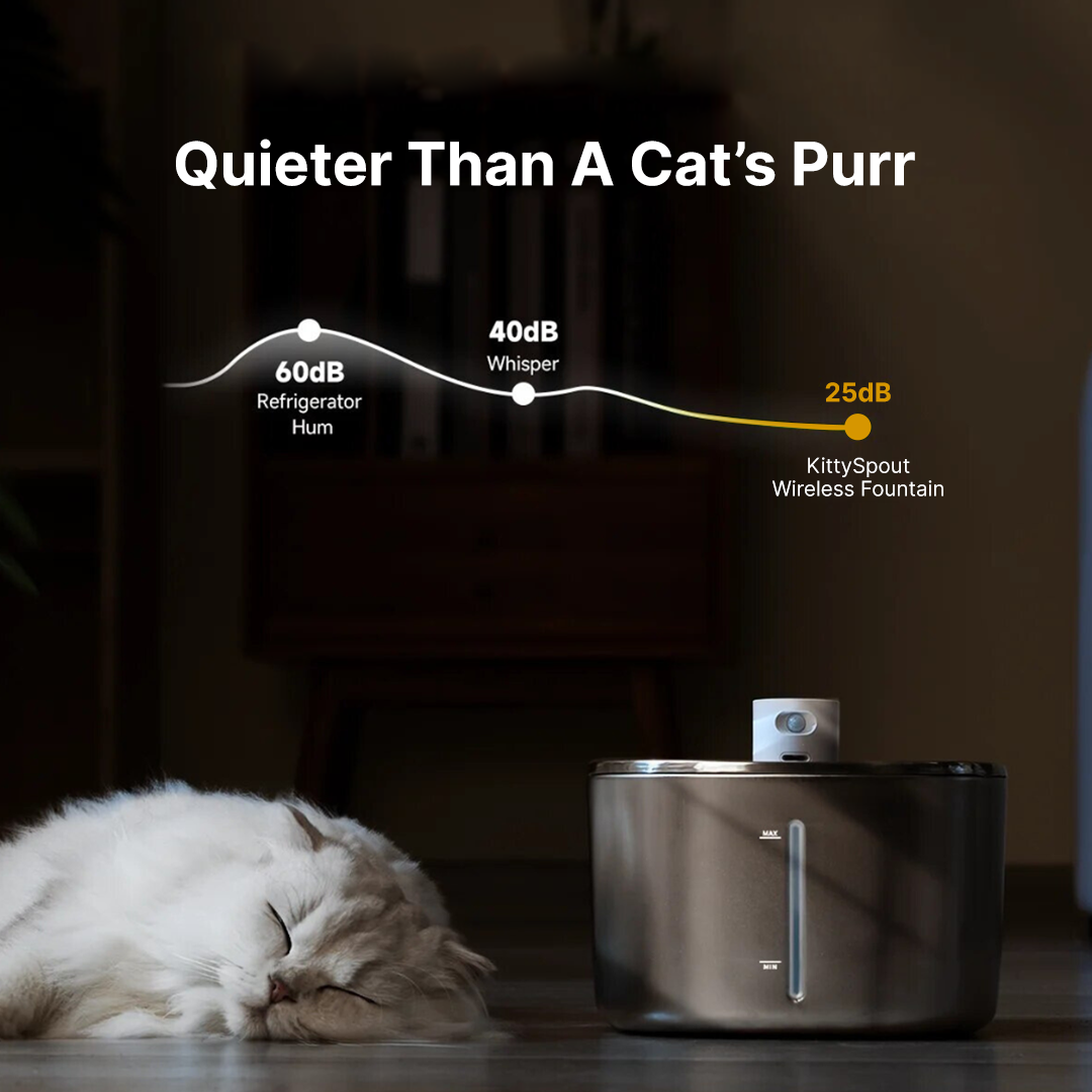 Like New The KittySpout - Wireless Fountain (Vet testimonials) - 2 Month: Wireless KittySpout + 4 filter sets + free gift
