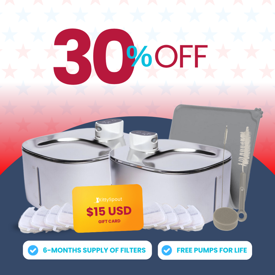Wireless Big Cat Family Bundle