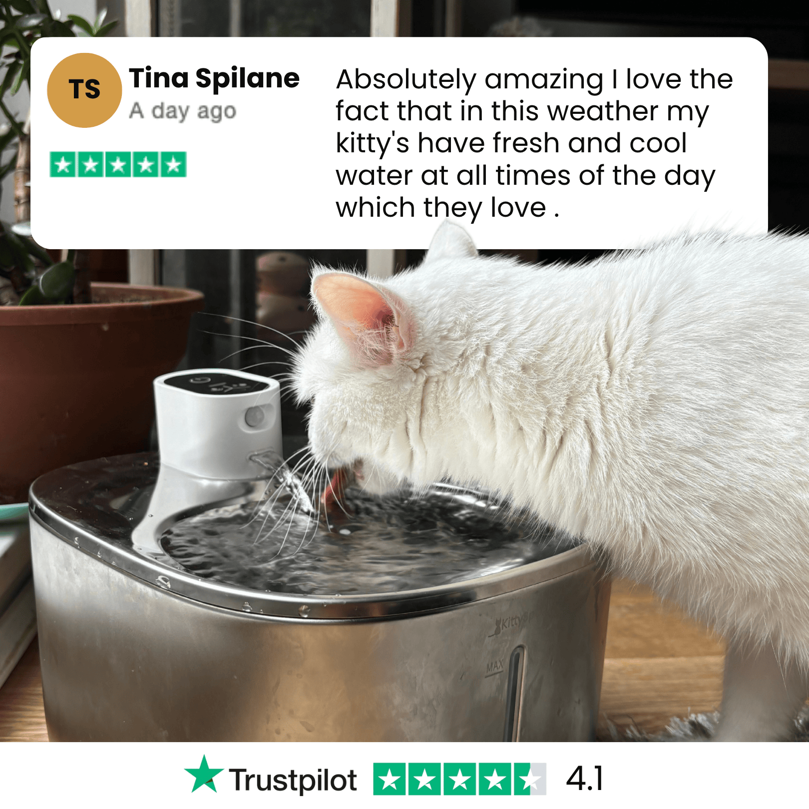 The KittySpout™ - Wireless Fountain