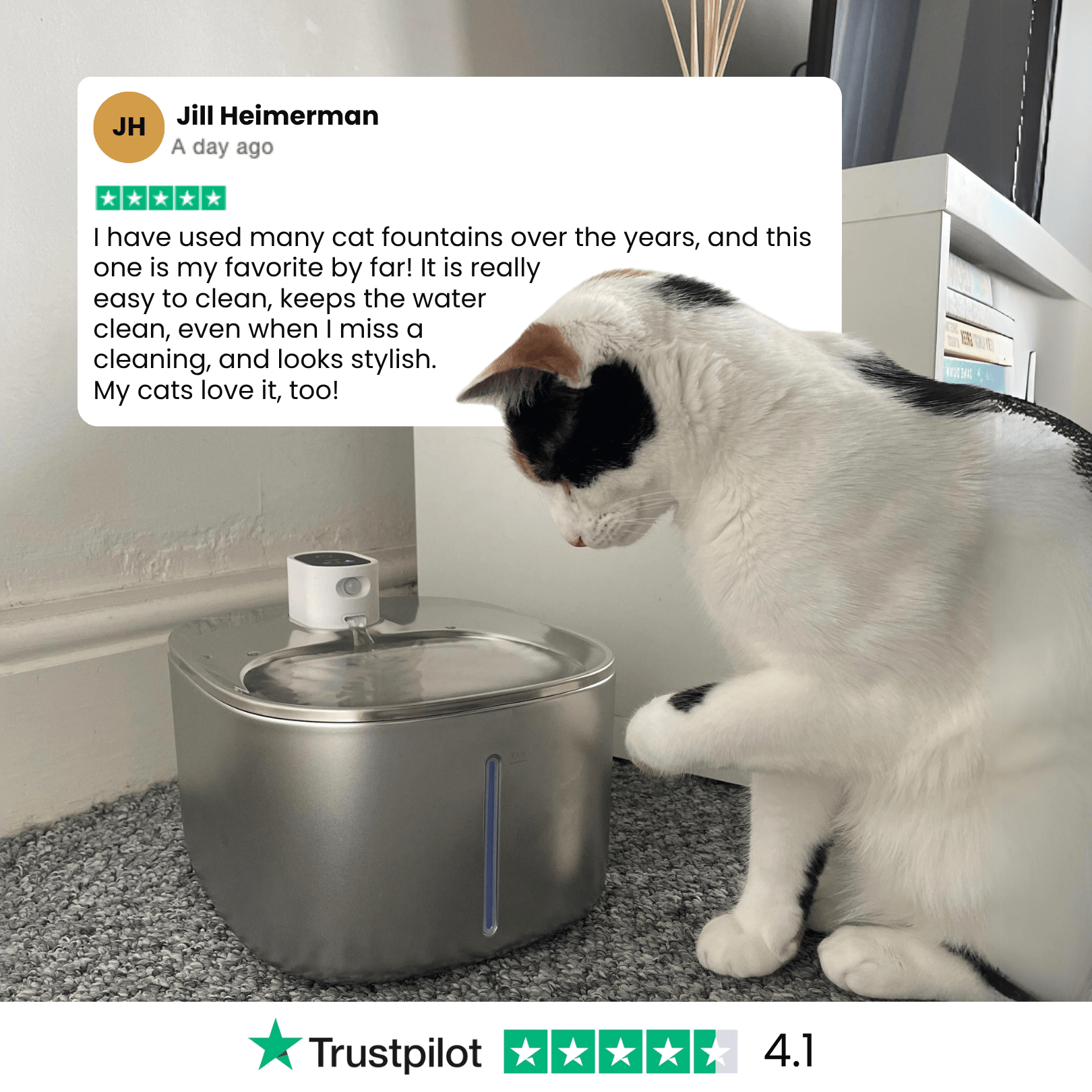 The KittySpout™ - Wireless Fountain