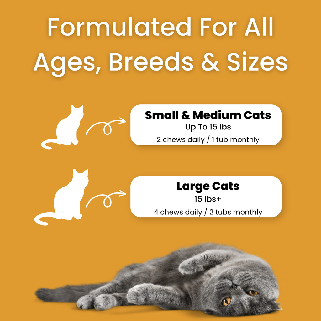 Bladder & Kidney Support Chews