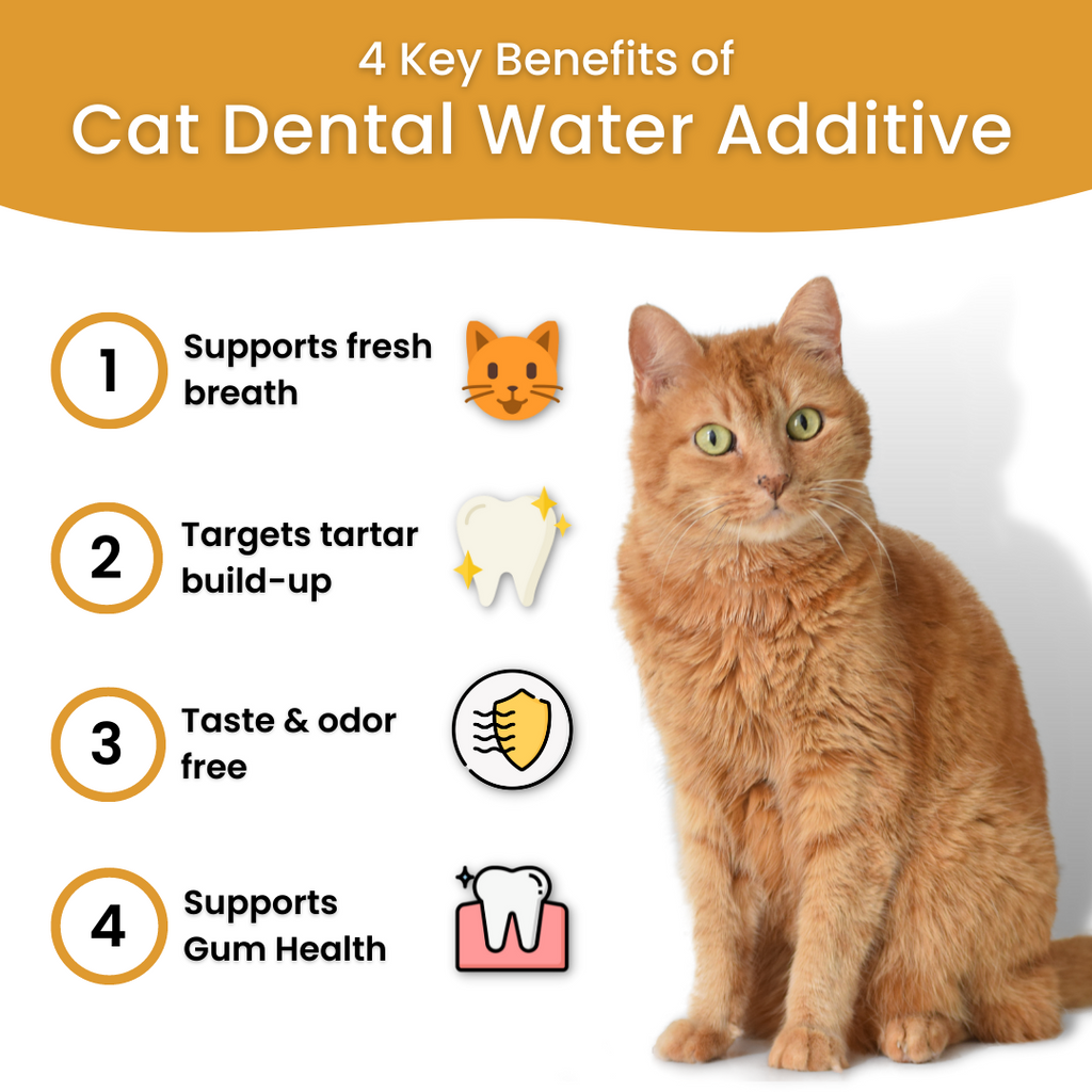 Dental Care Water Additive